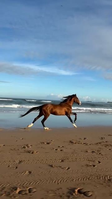 #katyboro #видеооткрытка      #рекомендации #врек #топ #врекомендации