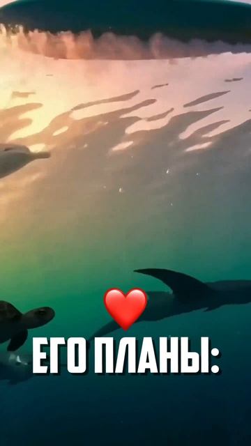 Как бы вы описали Мистера X, используя только эмодзи?😂👇🏼