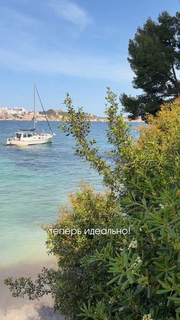 так то лучше, всегда бы так 🤣