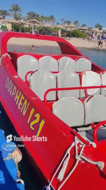 Оскар на отдыхе