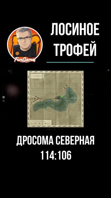 Russian Fishing 4. Лосиное озеро. Дросома трофей.