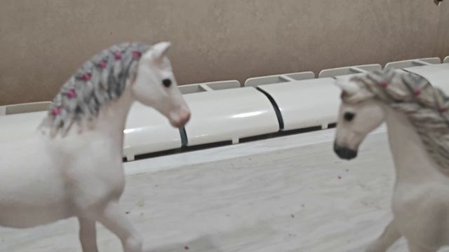 Вызов принят!