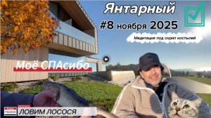 Осень в Янтарном