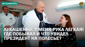 Лукашенко на Полесье: куда заглянул на удачу и что сделал на радость детям?/ Жизнь «людей на болоте»
