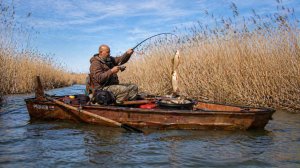 СЕКРЕТНЫЙ РУЧЕЙ ПРОСТО КИШИТ РЫБОЙ! Рыбалка на поплавок!