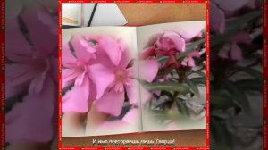 🎧MUSIC "Есть тот один, кто"... Текст слова: Лейла Алиева. 👑🙏🙇❤️❤️❤️🌙🌙🌙✨ #LEYLAALIYEVA