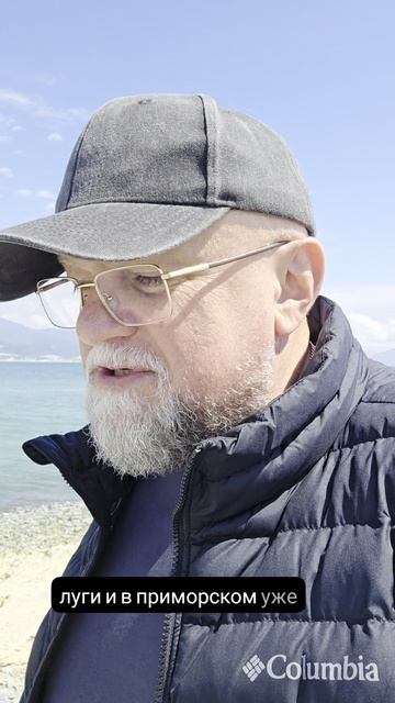 Моим гривоголовым друзьям