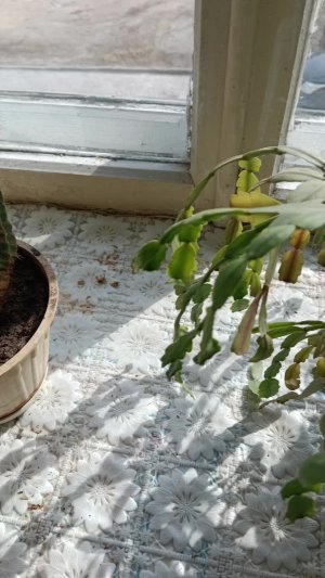 Моё будничное утро