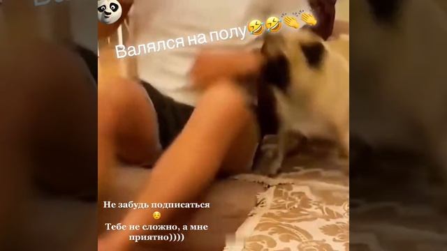 mozafakker - 7040148983049686273