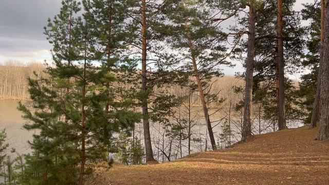 Шум дождя🌱