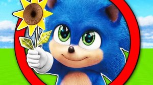 КАК МЕНЯЛСЯ СОНИК И ЕГО ЖИЗНЕННЫЙ ЦИКЛ В МАЙНКРАФТ ! ЭВОЛЮЦИЯ И ТРОЛЛИНГ MINECRAFT