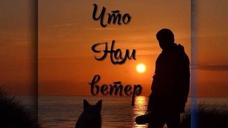 ДДТ - Что нам ветер (Кавер) #музыка #ддт #нагитаре