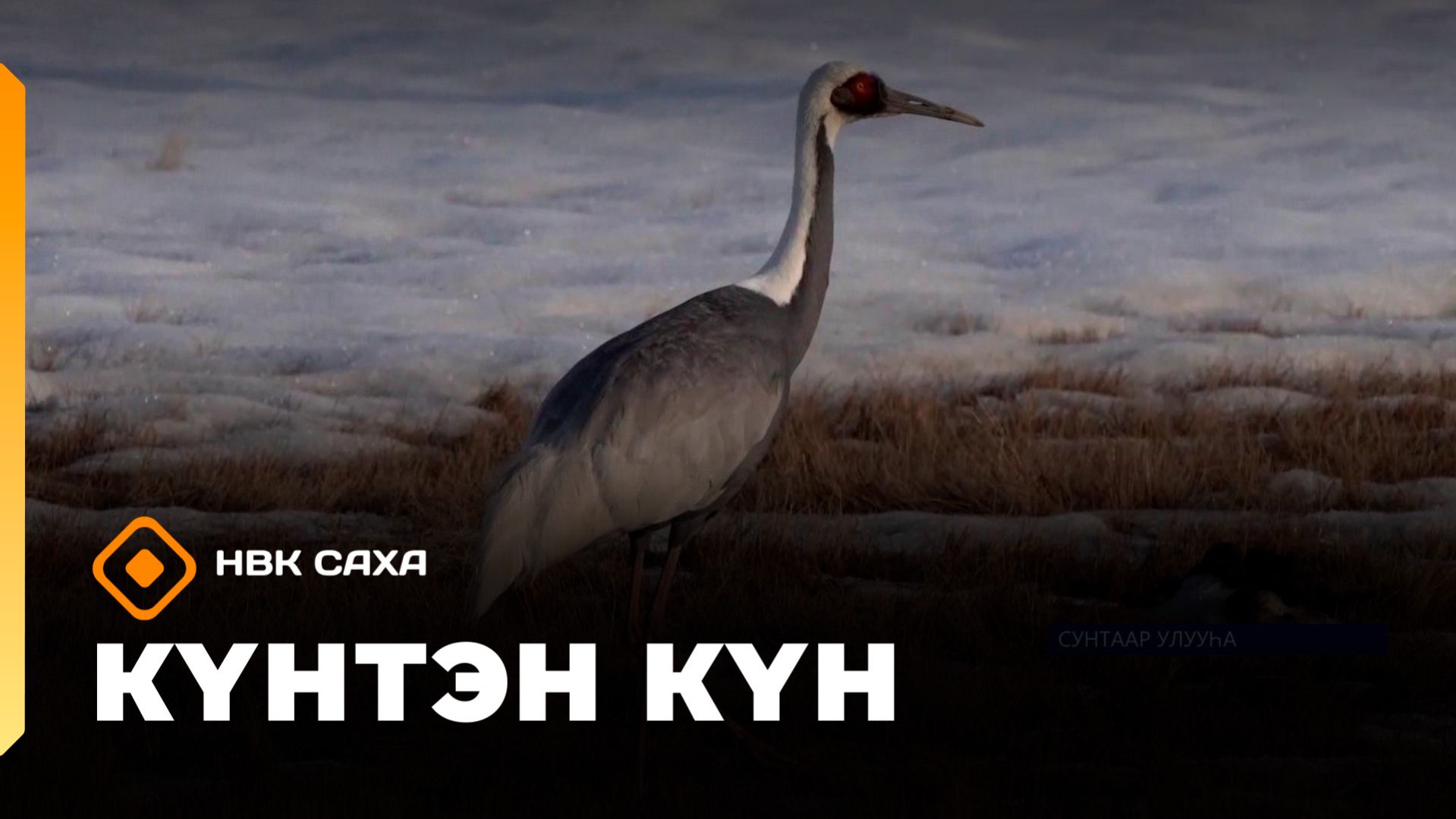 Күнтэн күн. «Саха Сирэ» информационнай биэрии  (25.04.26)