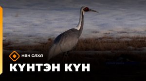 Күнтэн күн. «Саха Сирэ» информационнай биэрии  (25.04.26)