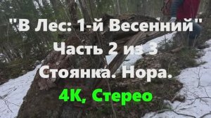 21-марта-2026 - В Лес: 1-й Весенний; Часть 2/3: Стоянка. Нора.
