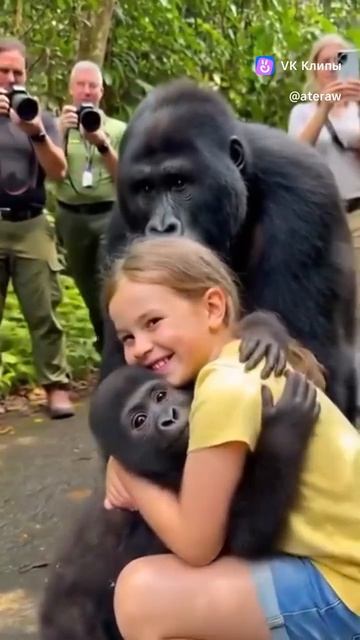 обнимашки с горилкой