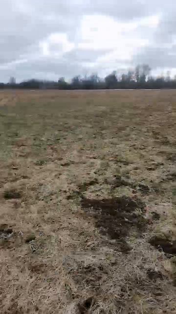 КВАДРИК МИХАЛЫЧА И РЕПОРТАЖ