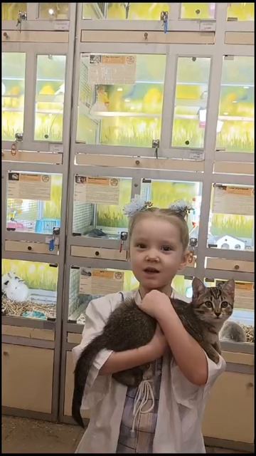 Международный день Ветеринарного врача🐾.mp4