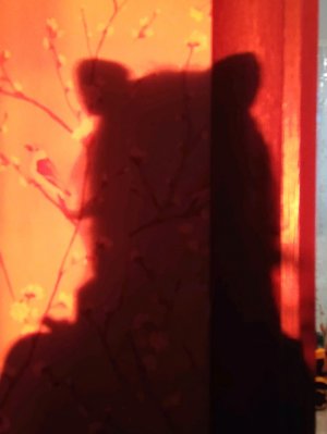 как вам фоточка?/stash kis