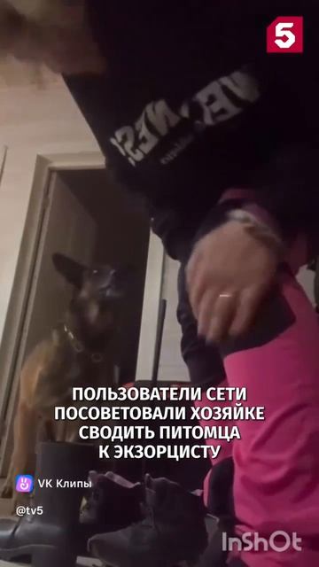 # человек собаке друг # обовсемнасвете #рекомендации # тренды #