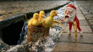 НЕВЕРОЯТНОЕ СПАСЕНИЕ Гугу Гага Быстро Спасает Утят Из Опасной Ситуации