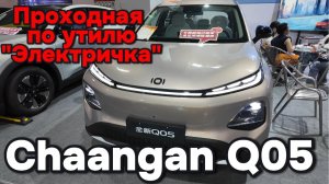 Проходная электричка по Утилю !