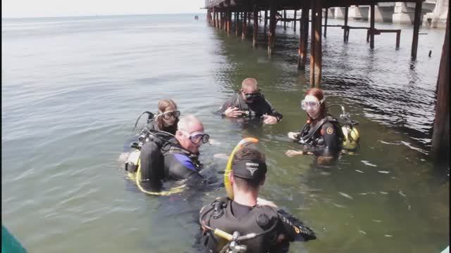 Зарисовки о дайвинге...