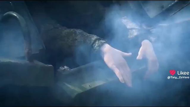 за Россию !!