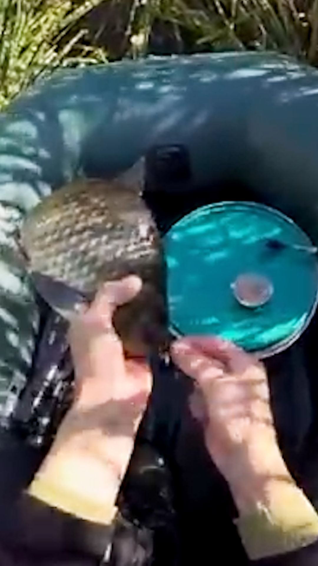 Ловлю рыбу на резиновой лодке в камышах