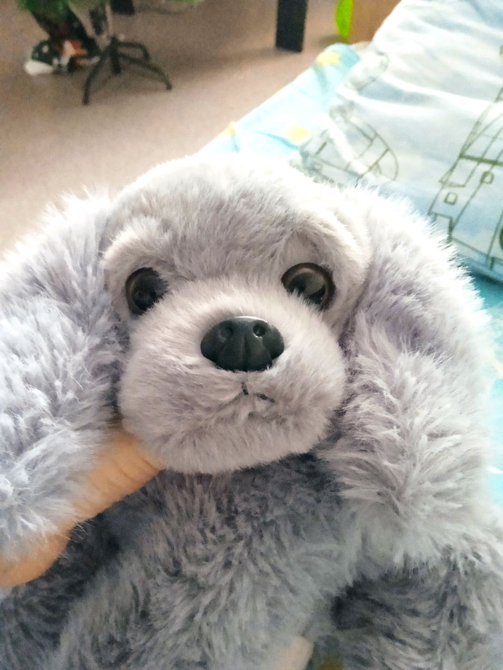 нету названия