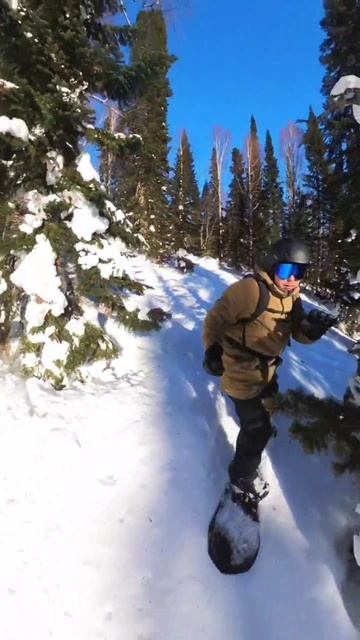 Шерегеш сектор Е горнолыжный сезон 2026 года