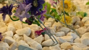 #Сочи парк. Выставка бабочек. Очень красивые. Интересные