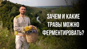 Нужно ли ферментировать травы? Наука не может до конца понять