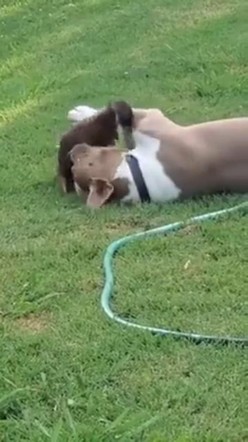 А вот не поспорите😁!))