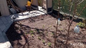 Доброе утро субботы