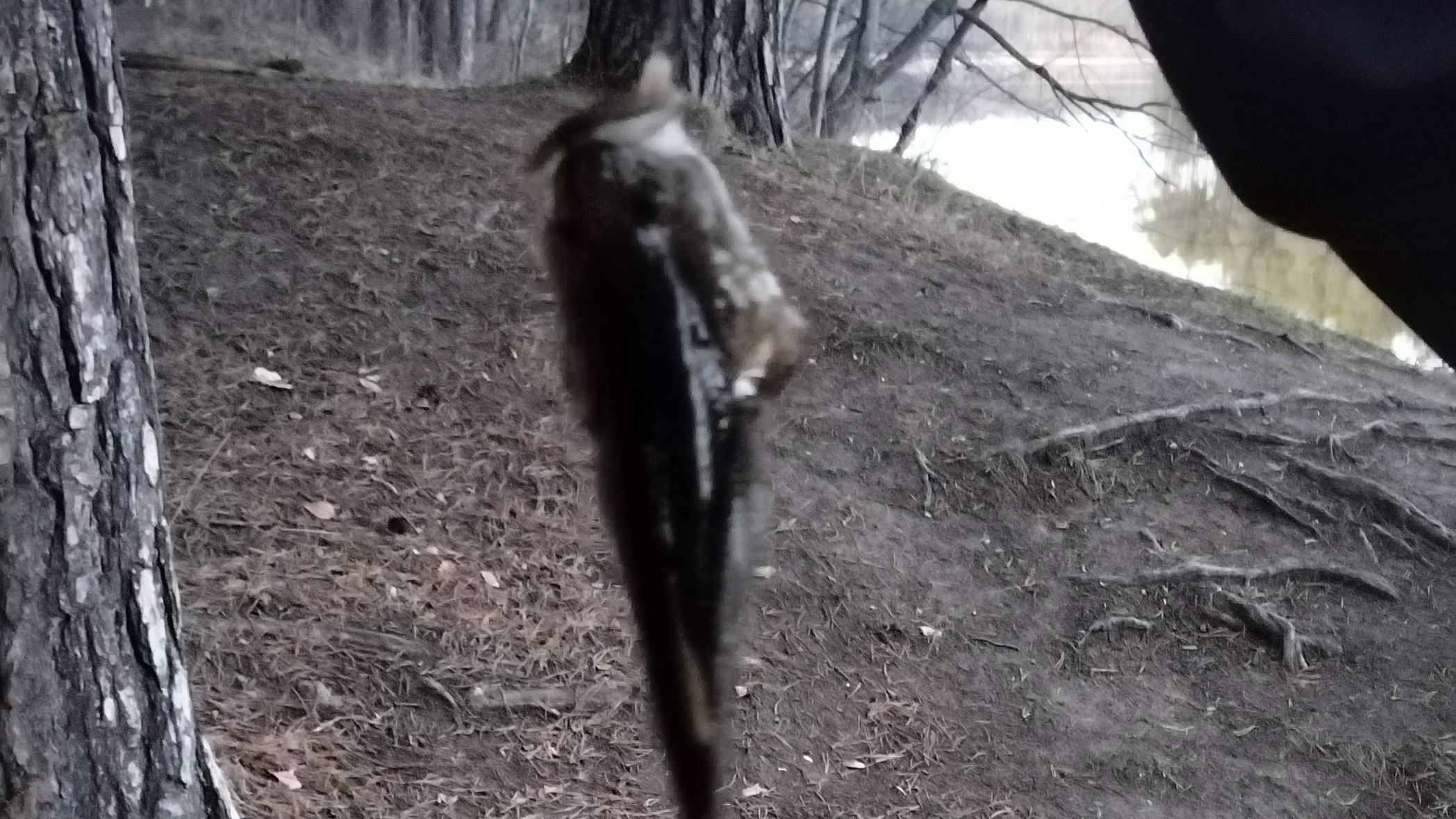 Рыбачим в Сысерти