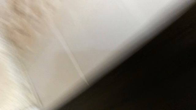 VID_20260425_153059.mp4