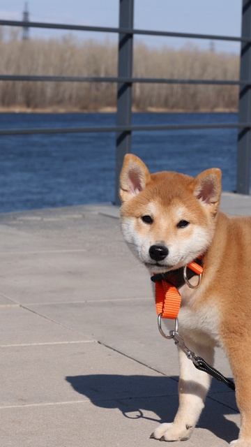 Мальчик 3 месяца 🧡