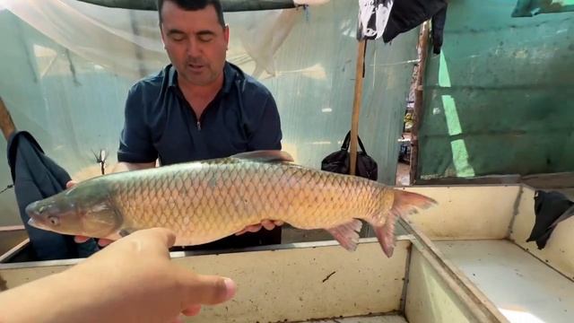 хоразим хазарасп болик бозори