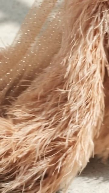 Видео для Taller Marmo