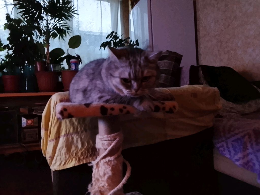 Вид из MY WINDOW (Окна)