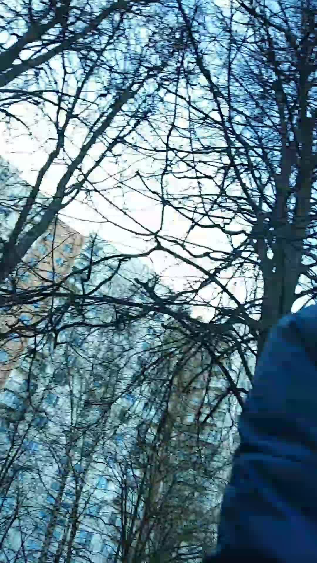 выполняем задания вместе с листиком только законные и которое возможно выполнить