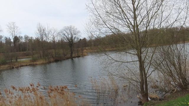 На месте лодочной станции на Чёрном озере в Приоратском парке /Гатчина