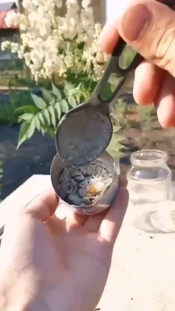 садовый вар.MP4