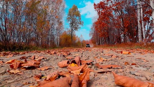 Природа Приморья.