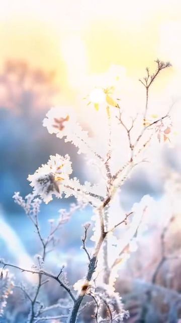 #katyboro #видеооткрытка      #рекомендации #врек #топ #врекомендации