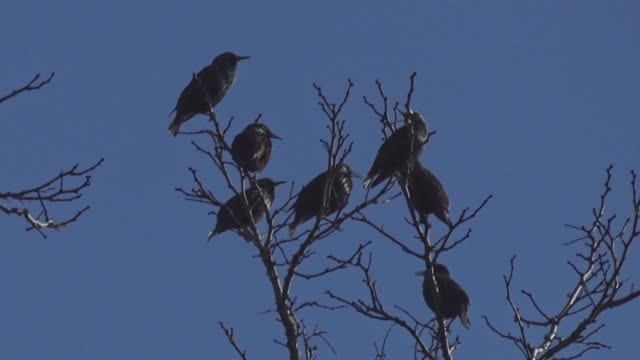 ДЕРЕВЕНСКИЕ ЗАРИСОВКИ! КАК ПРИХОДИТ ВЕСНА В ДЕРЕВНЮ!!