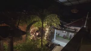 СТРИМ. ЖЕНИТЬСЯ НА МУСУЛЬМАНКЕ. МЕНЯ УКУСИЛ ЛУВАК😭!