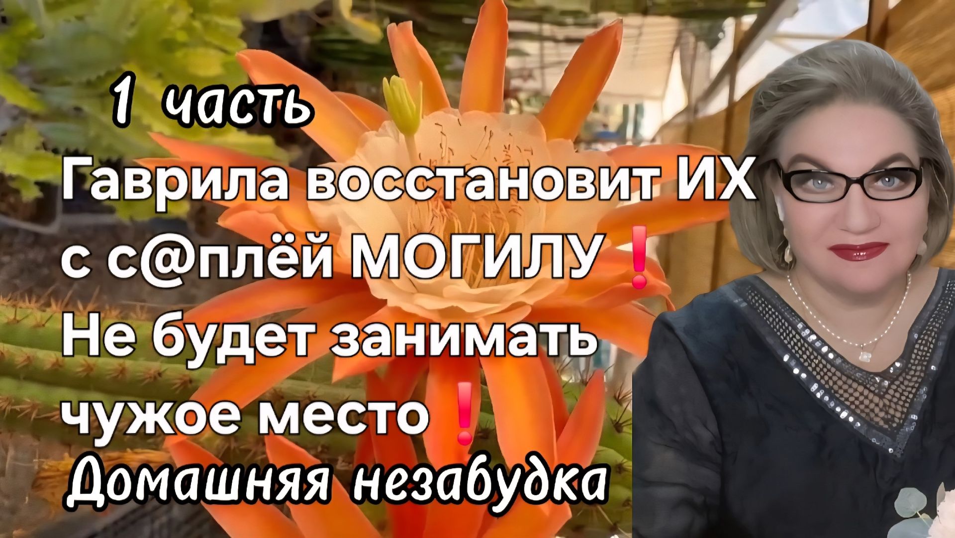 1 часть. Гаврила восстановит ИХ с с@плёй МОГИЛУ❗️Не будет занимать чужое место❗️