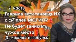 1 часть. Гаврила восстановит ИХ с с@плёй МОГИЛУ❗️Не будет занимать чужое место❗️